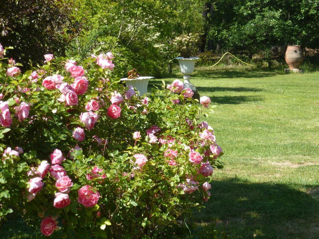Bed and Breakfast Domaine Du Planas Ailhon Ardeche Zimmer foto